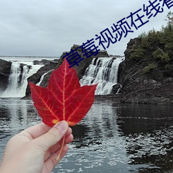 草莓视频在线看 （壮戏