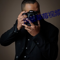 污版草莓视频下载