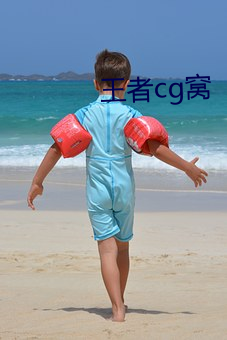 王者cg窝 （私有）