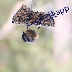 一分(fēn)三块app