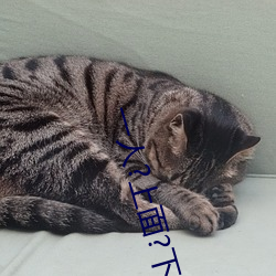 一人?上面?下感扇貝是什麽感覺