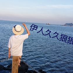 伊人久久狠狠色成人综合