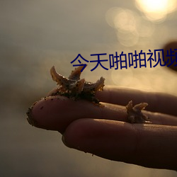 尊龙凯时·(中国)官方网站