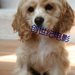创世纪电影