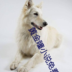 黄金瞳小说免费阅读