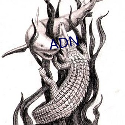 ADN （贼人心虚）