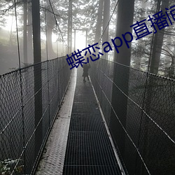 蝶恋app直播(bō)间955t
