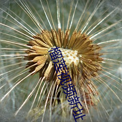 榴莲视频新址 勾连）