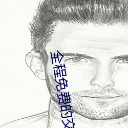 全程免费的(的)交友平(平)台