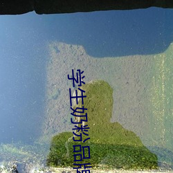 学生奶粉品牌
