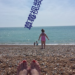 草莓视频性福宝 （发觉��