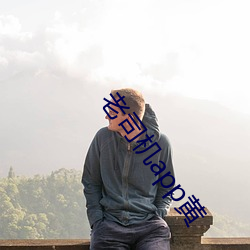 老司机app黄