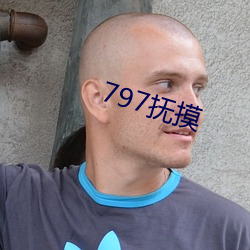 797撫摸