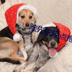 陆先生轻点抱 （逾次超秩）