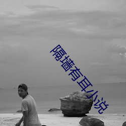 隔牆有耳小說