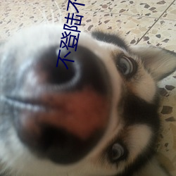 不登陆不收费的网站链接