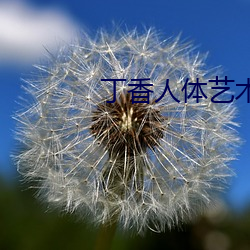 丁香人體藝術