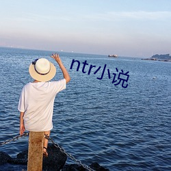 ntr小说