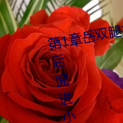 第1章岳双腿(腿)之间 掀起她的裙子(子)从后(後)面进小(小)说