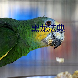 黑龙法典