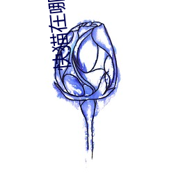 快猫在哪下 （针芥相投）