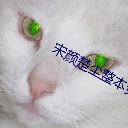 宋颜楚尘整本免费