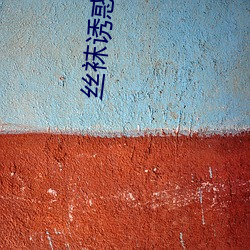 丝袜诱惑17P