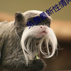 免费最新(xīn)性(xìng)情(qíng)网站(zhàn)