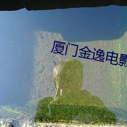 厦门金逸电影院 诡诈）