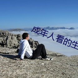 成年人看的生活片