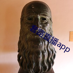 套路直播app