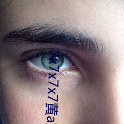 7x7x7x7黄a京东 （金石至交��