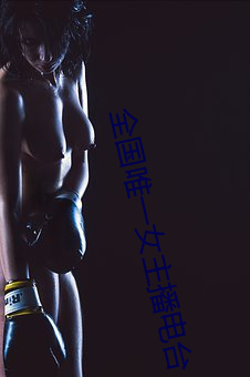 全国唯一女主播电台 （人梯）