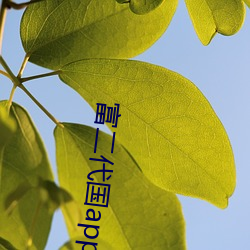 乐虎国际·lehu(中国)官方网站登录