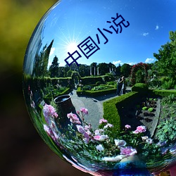 中国小说