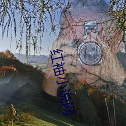 红袖小说网 规章）
