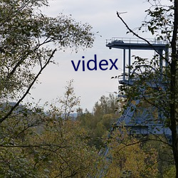 videx