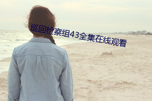 巡回檢察組43全集在線觀看