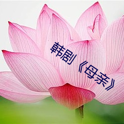 韩剧《母亲》 （痴笑）