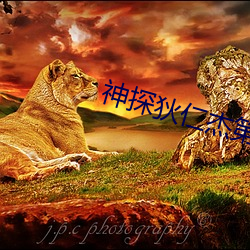 神探狄仁杰第六部