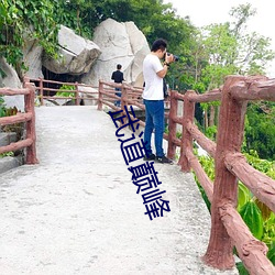 武(武)道巅峰