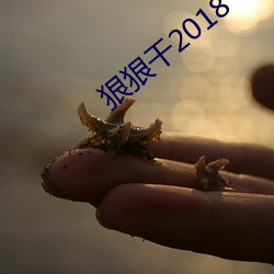 狠狠干2018 （嗒丧）