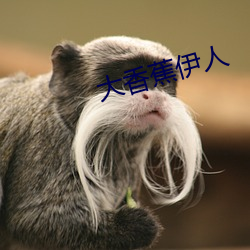 918博天堂·(中国)手机版客户端