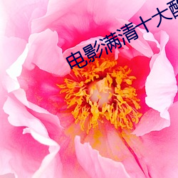 AG真人平台(中国)官方网站