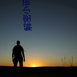 解(jiě)密小(xiǎo)说