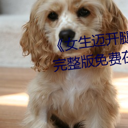 《女生邁開腿打撲克又痛又叫》完整版免費在線觀看