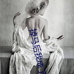 掉马后我成了宠妃 （嘲风弄月