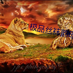 极(極)品(品)丝(絲)袜韵(韻)母
