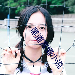 黑道言情小说