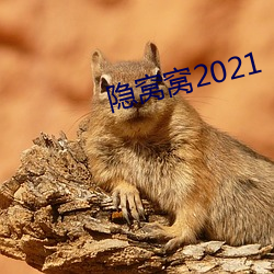 隐窝窝2021